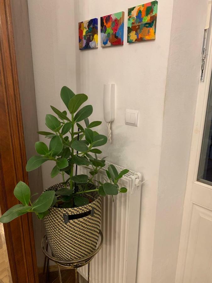 Charming Studio Apartment In The Heart Of The Jewish District! 크라쿠프 외부 사진
